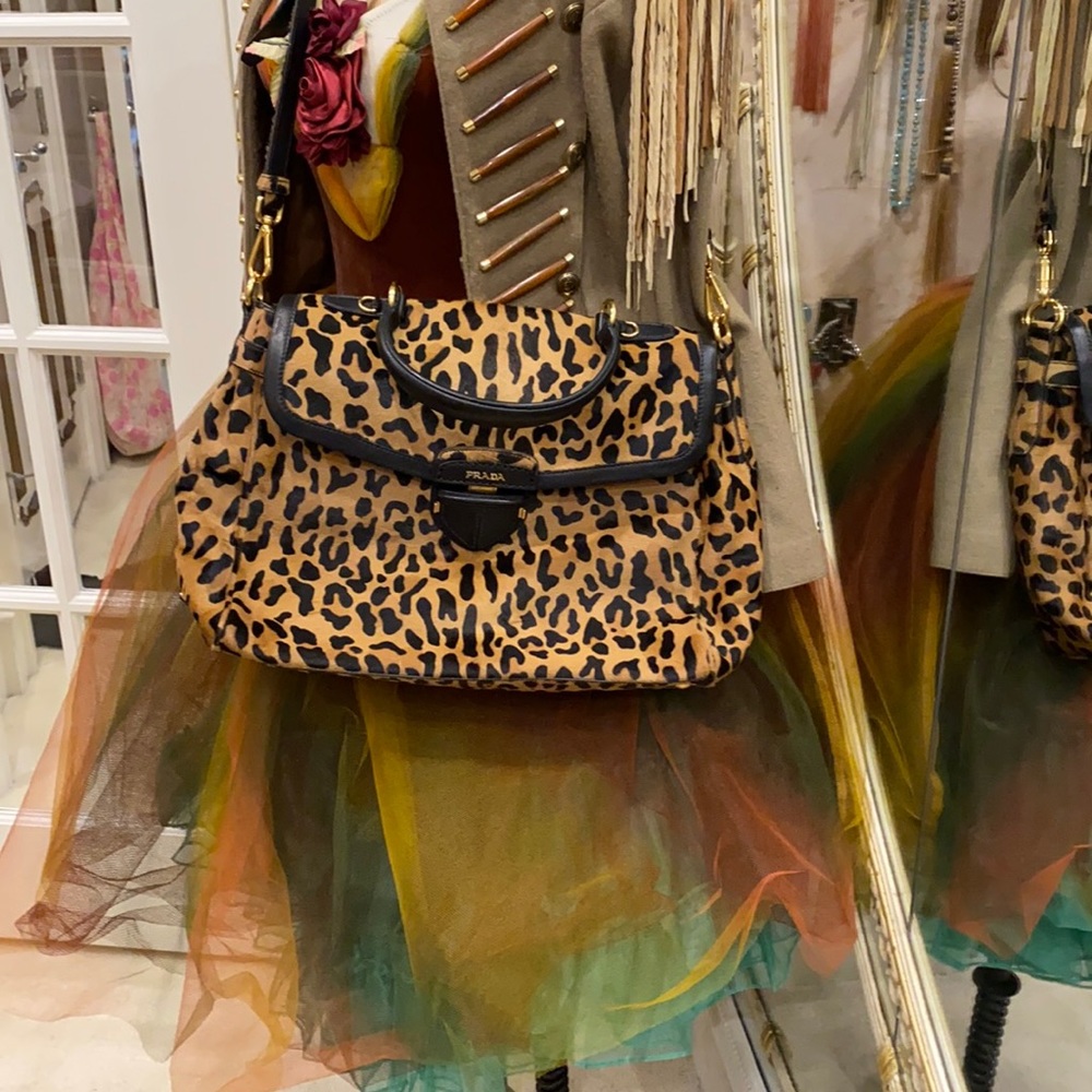 Calling all leopard lovers